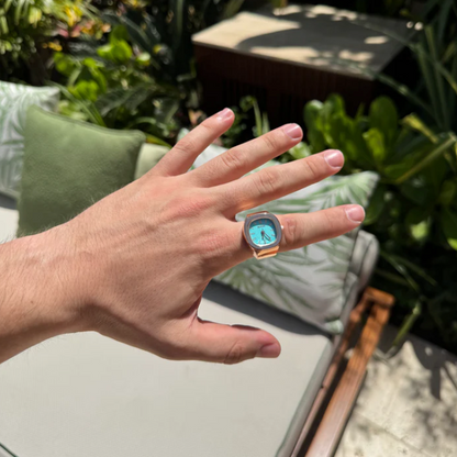 オラリムウォッチリング | Nautilus