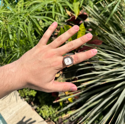 オラリムウォッチリング | Nautilus